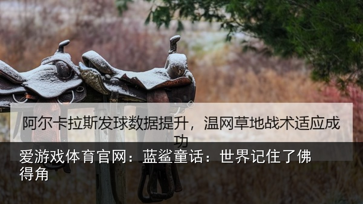 爱游戏体育官网:蓝鲨童话:世界记住了佛得角